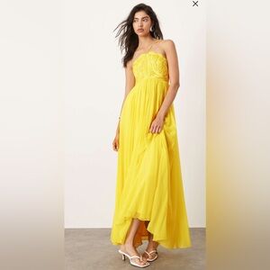 NWT ASOS EDITION embroidered satin maxi dress with chiffon skirt